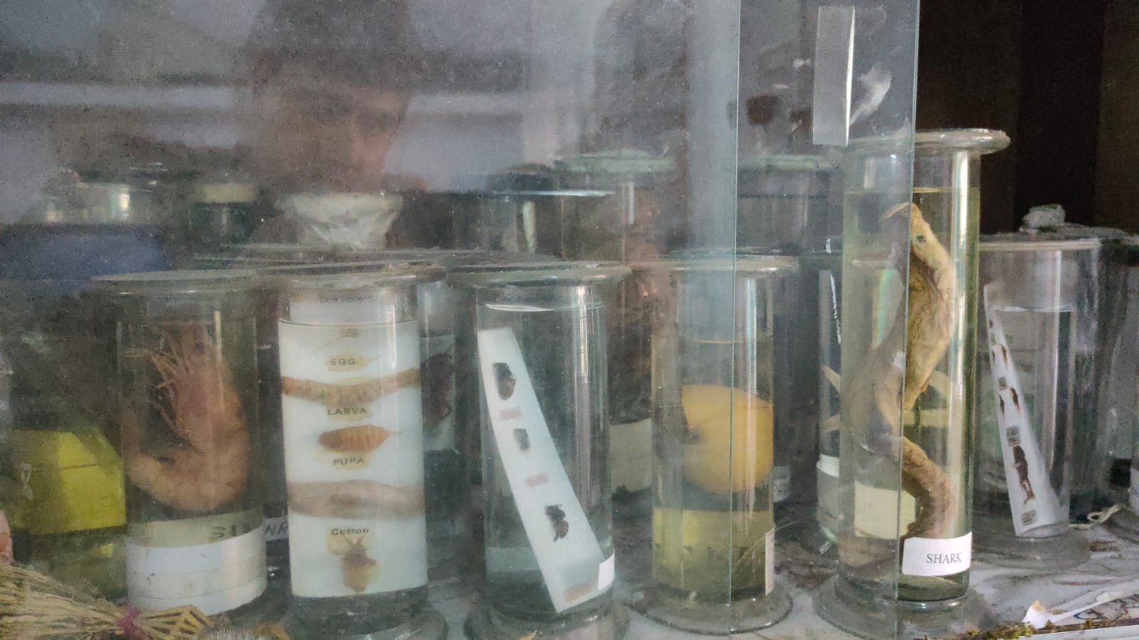Lab & Science Experiment